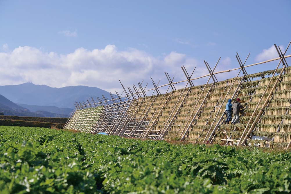 michimoto-food-image