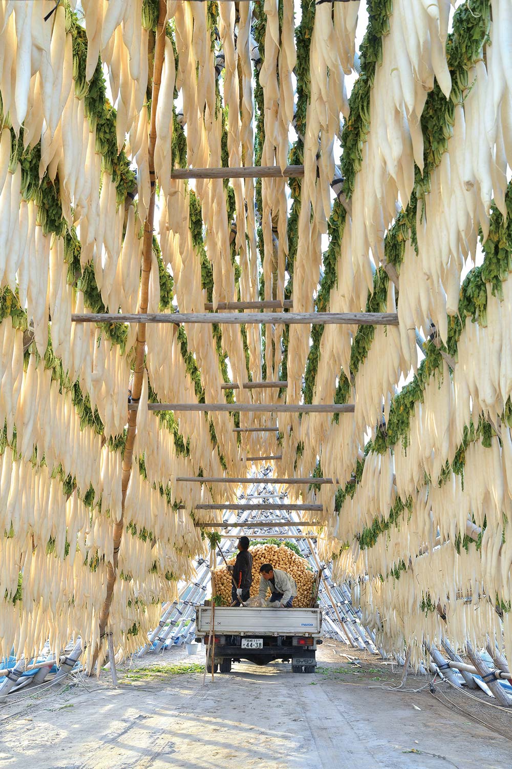 michimoto-food-image